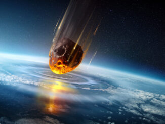 Mass Extinction Event In 2025